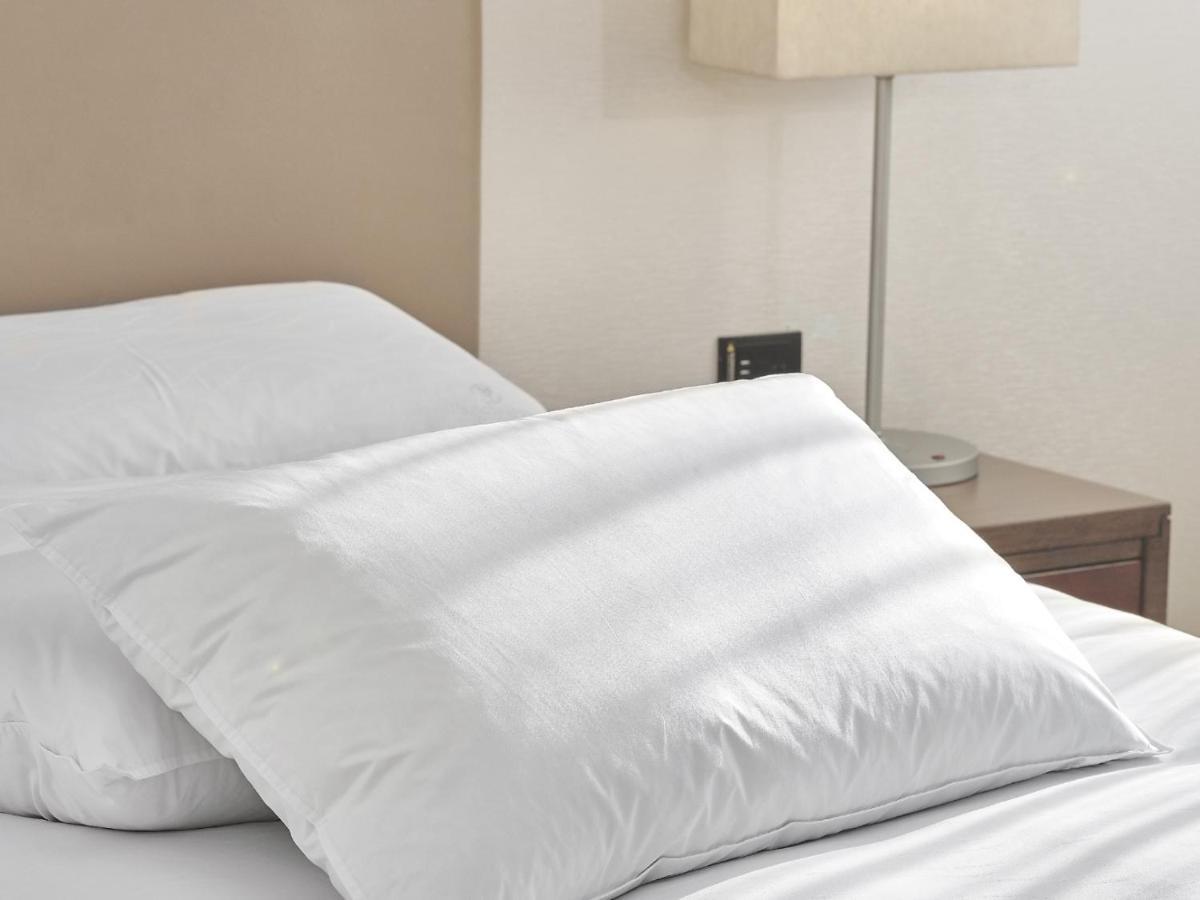 Windsor Hotel Taichung Exteriör bild A pillow
